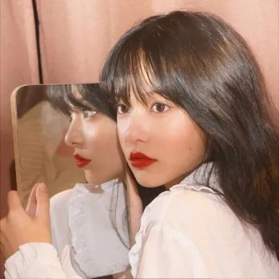 献给检察官的玫瑰花