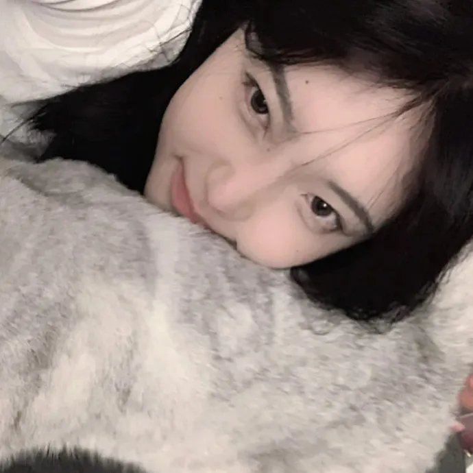 学校风云